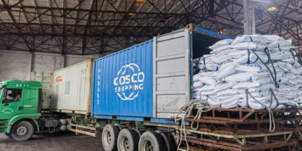 ?有机肥料能够走集装箱海运吗，必要把稳什么？