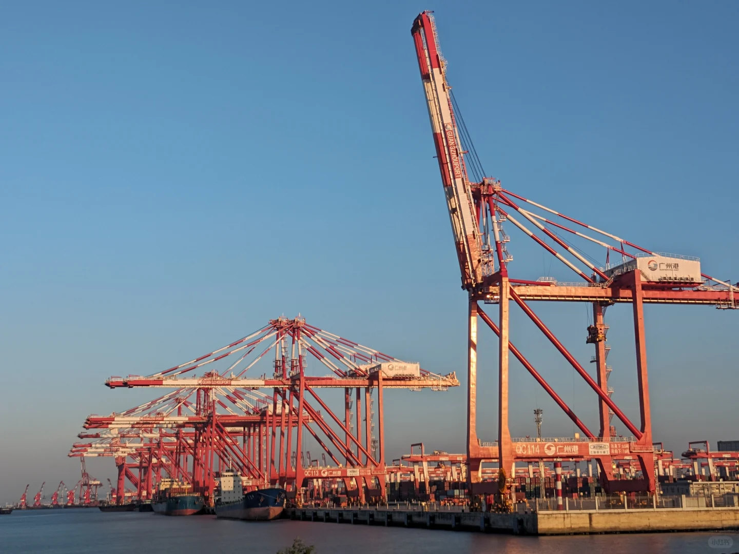 若何理解海运中的“甩柜”？