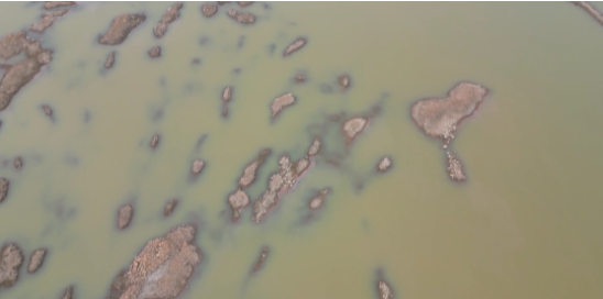 权门国际官网-钻营健全,你我一路成长