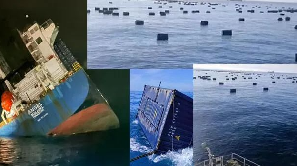 权门国际官网-钻营健全,你我一路成长